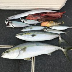 Monster Rush! 釣果