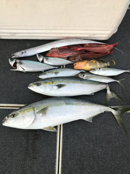 Monster Rush! 釣果