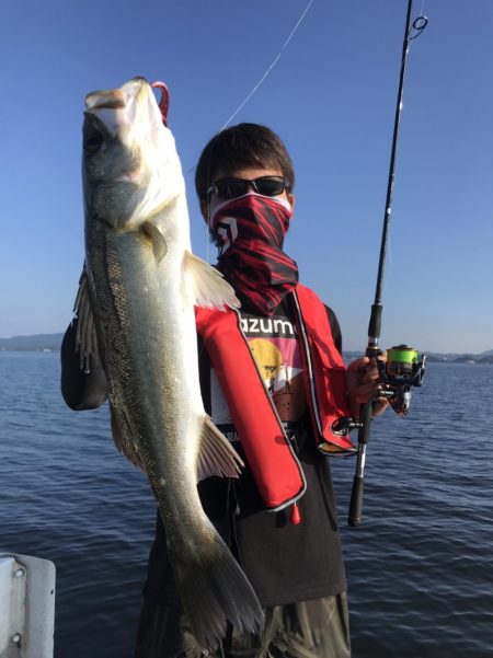 アマテラス 釣果