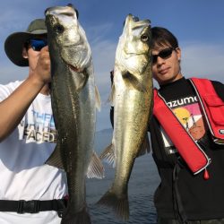 アマテラス 釣果