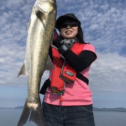 アマテラス 釣果