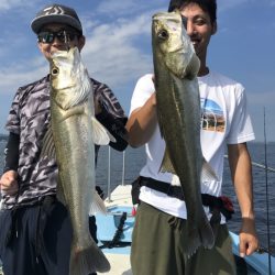 アマテラス 釣果