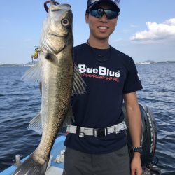 アマテラス 釣果