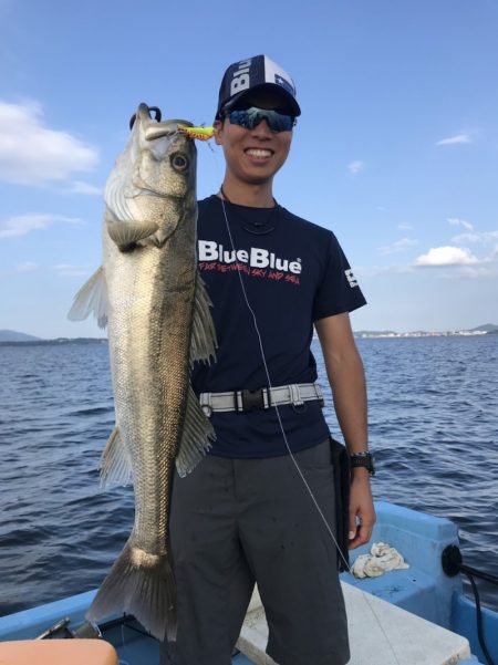 アマテラス 釣果