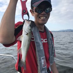 アマテラス 釣果