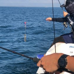 「LaGooN」蒼陽丸 日和号　 釣果