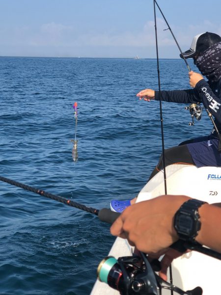 「LaGooN」蒼陽丸 日和号　 釣果