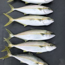 海龍丸（石川） 釣果