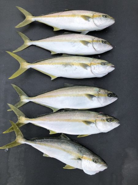 海龍丸（石川） 釣果