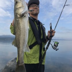 アマテラス 釣果