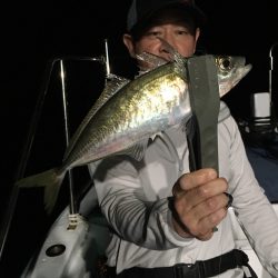 渡船屋たにぐち 釣果