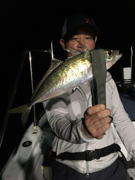 渡船屋たにぐち 釣果