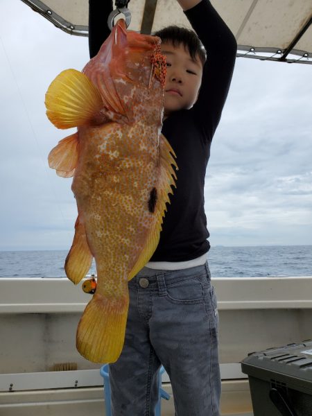 ソルトウォーターガイドフレンズ 釣果