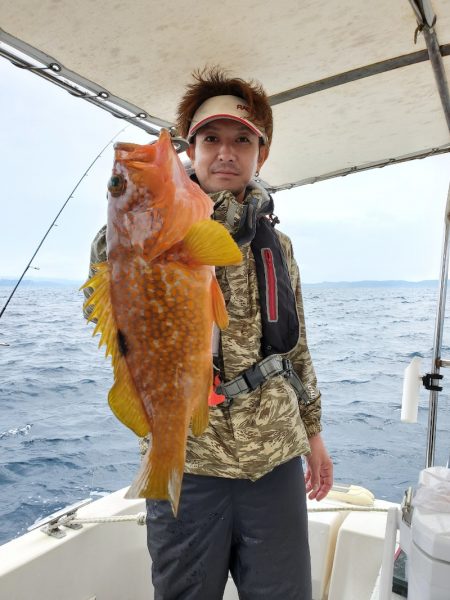 ソルトウォーターガイドフレンズ 釣果