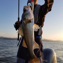 アマテラス 釣果