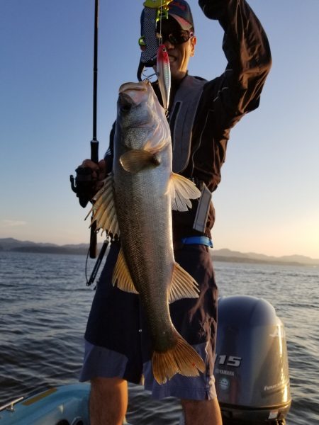 アマテラス 釣果