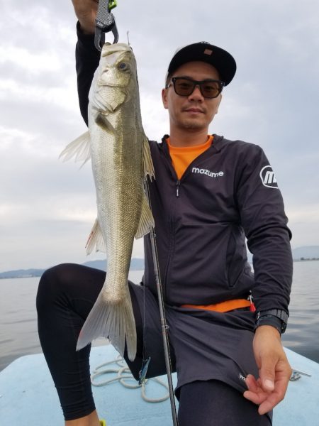 アマテラス 釣果