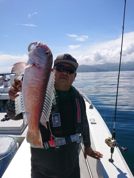 エンペラー 釣果