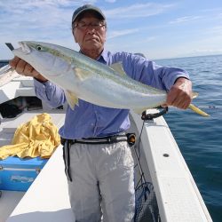 エンペラー 釣果