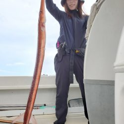 ソルトウォーターガイドフレンズ 釣果