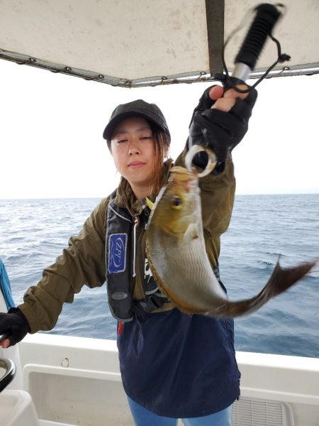 ソルトウォーターガイドフレンズ 釣果