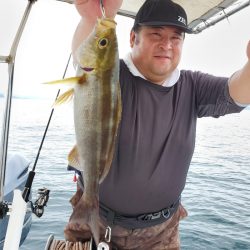 ソルトウォーターガイドフレンズ 釣果