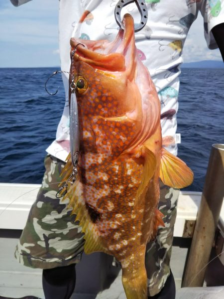 光生丸 釣果