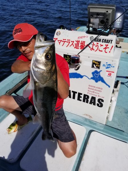 アマテラス 釣果