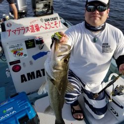 アマテラス 釣果