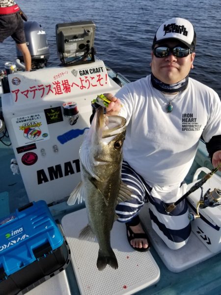 アマテラス 釣果