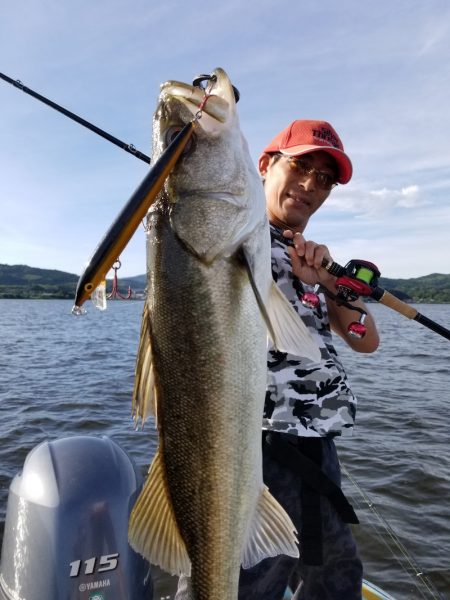 アマテラス 釣果