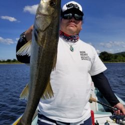 アマテラス 釣果