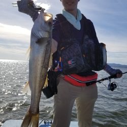 アマテラス 釣果