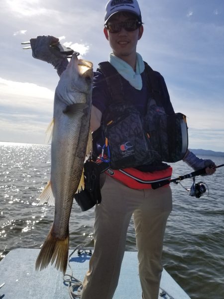 アマテラス 釣果