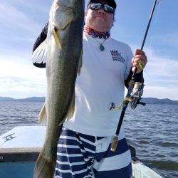 アマテラス 釣果