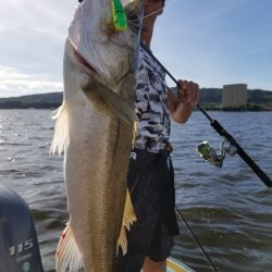 アマテラス 釣果