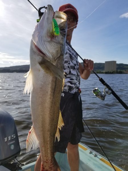 アマテラス 釣果