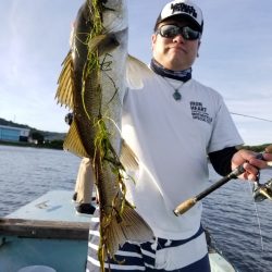 アマテラス 釣果