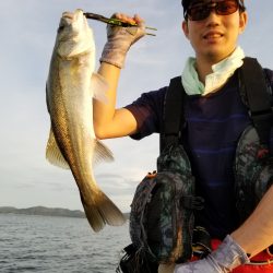 アマテラス 釣果