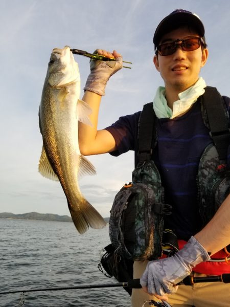 アマテラス 釣果