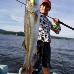 アマテラス 釣果