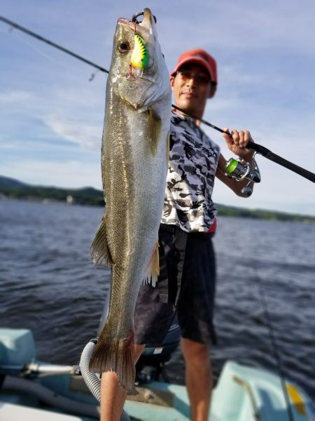 アマテラス 釣果