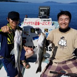 アマテラス 釣果