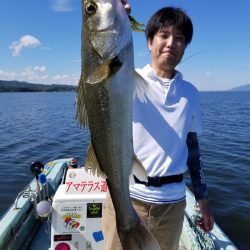 アマテラス 釣果