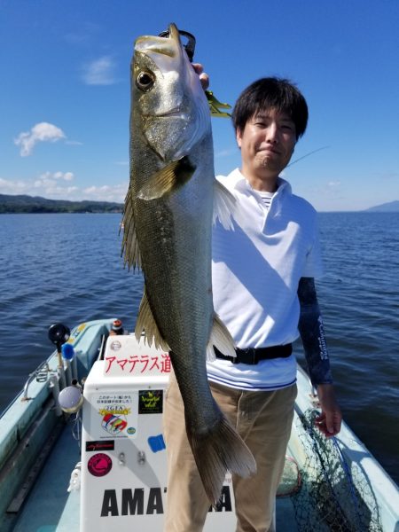 アマテラス 釣果