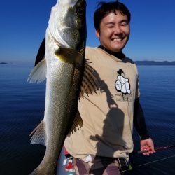 アマテラス 釣果