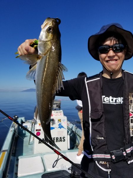 アマテラス 釣果