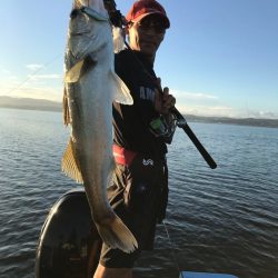 アマテラス 釣果