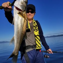 アマテラス 釣果