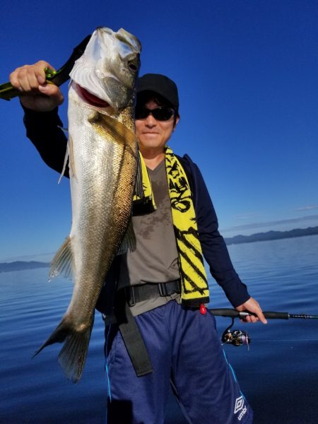 アマテラス 釣果